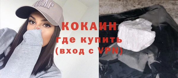 индика Верхний Тагил