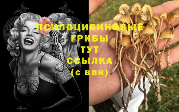 индика Верхний Тагил