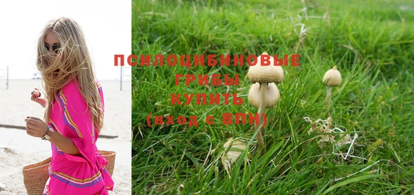 индика Верхний Тагил
