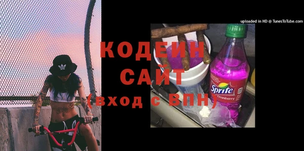 индика Верхний Тагил