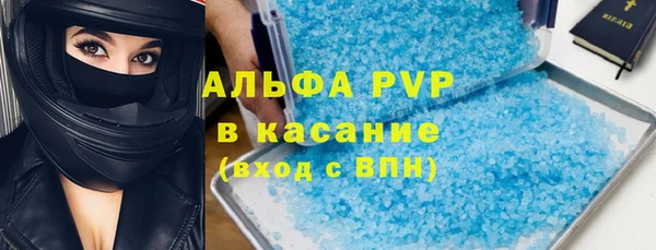 индика Верхний Тагил