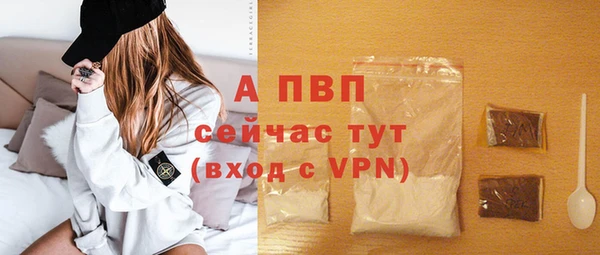 индика Верхний Тагил