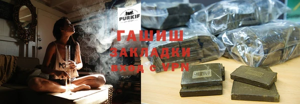индика Верхний Тагил