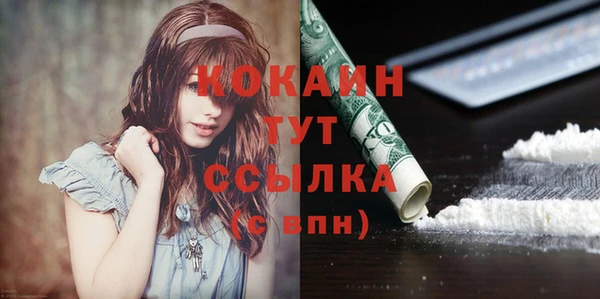 индика Верхний Тагил